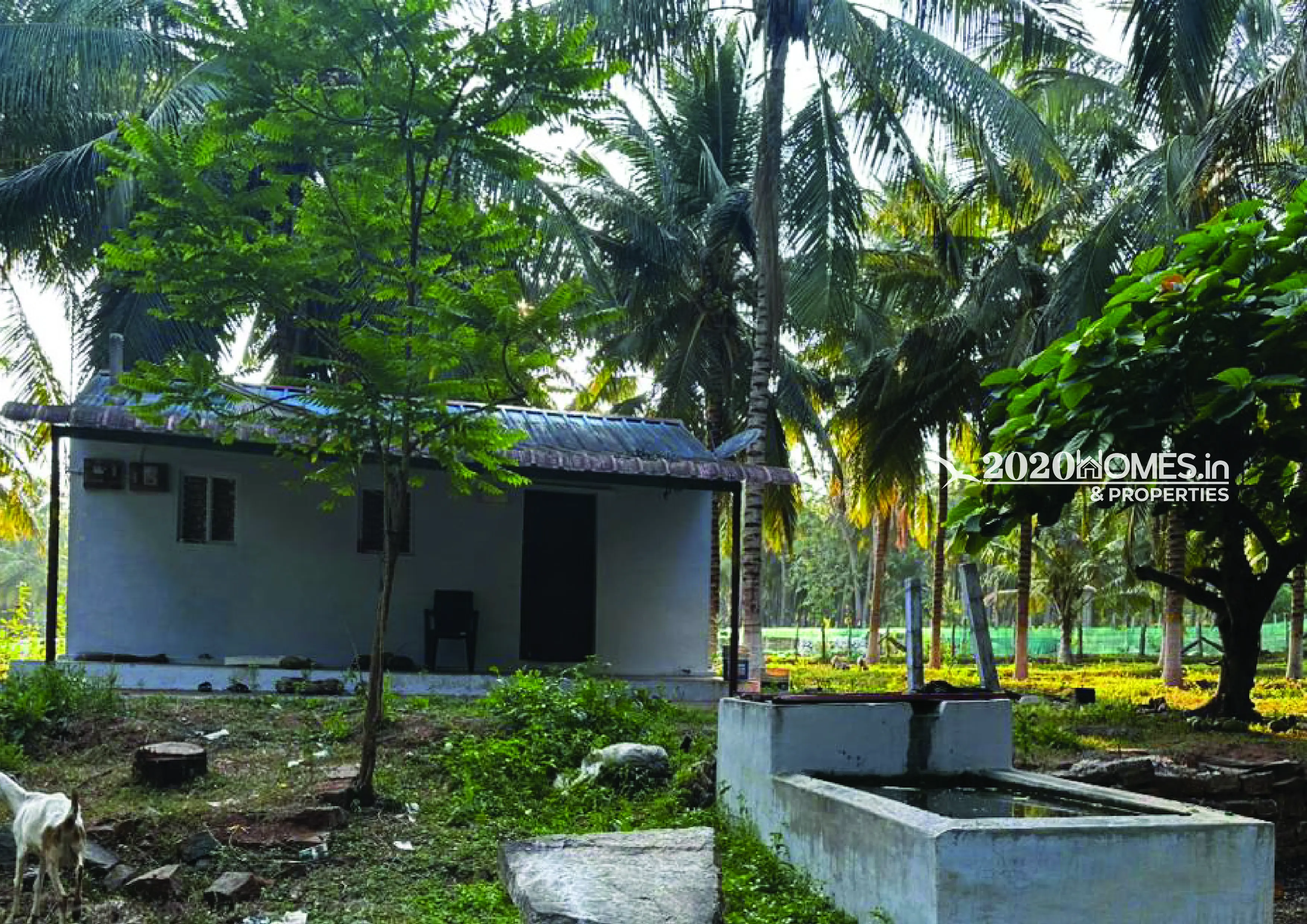 Premium Coconut Farm Narikalpathi